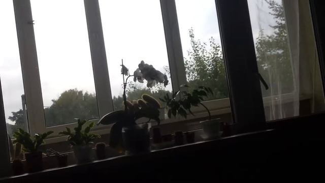 История.духи.мистика