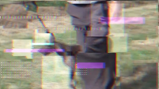 Курцхаар - всё о породе собаки смотреть онлайн