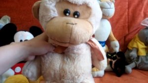 ОБЗОР : ВСЕ МОИ МЯГКИЕ ИГРУШКИ. /уместилось в 1 часть/