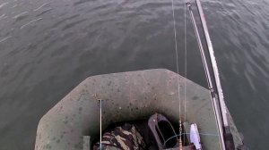 Рыбалка на хищника с лодки..mp4