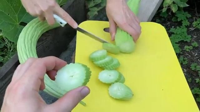 Армянский огурец - 