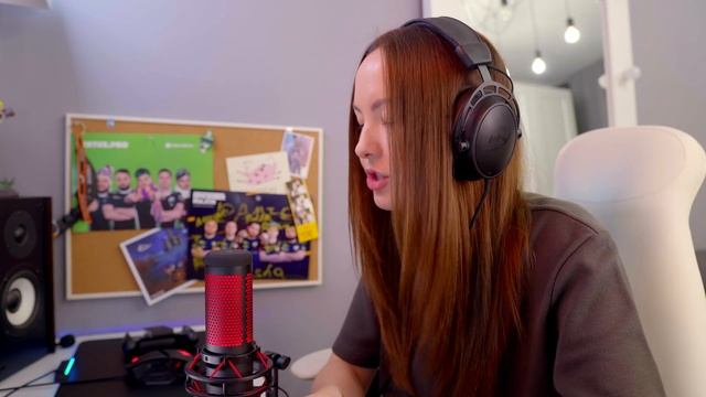 За что Stray228 отсидел 24 часа? смотреть онлайн