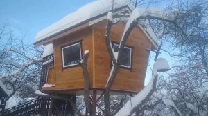 Домик на дереве. Детское кафе на дереве. Супер идея. Мечта детства