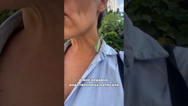 Inst: wb_alena все о работе на маркетплейсах, читай коммент ⤵️