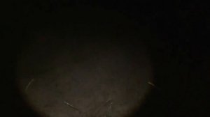 Ловля РАКА руками на реке ОКА