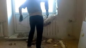 Отзыв P.I.T. GSH 65-D бешеный отбойник.