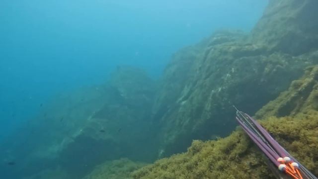 I grossi cefali nel freddo mare di Marzo смотреть онлайн