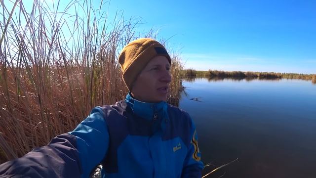 Блесна за 1000 рублей против блесны за 100 рублей! Щука ДУРЕЕТ! ШОК! Рыбалка с лодки 2022. смотреть онлайн