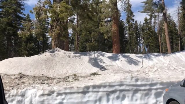 Национальные парки США : Yosemite / Sequoia National Park / Valley Death / Grand Canyon