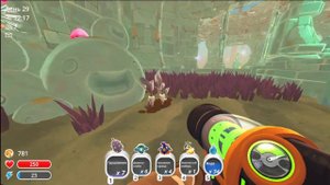 находим два золотистых имбиря в Slime Rancher