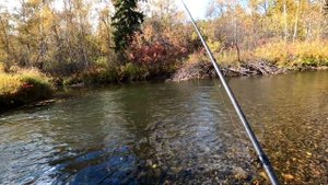 Ловля ХАРИУСА в хитром СЕНТЯБРЕ/На сагудай/Осенняя Река,Сказка.