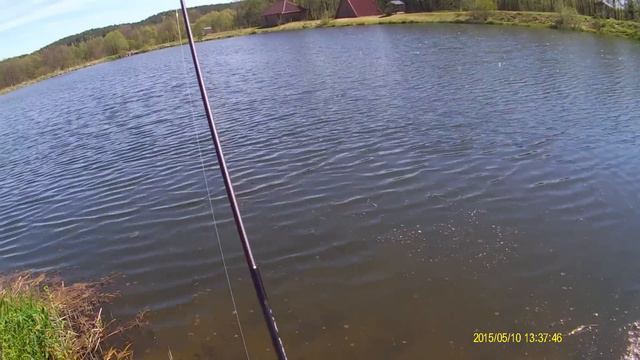 "Monsters" from toll pond Metlichino. Belarus. смотреть онлайн