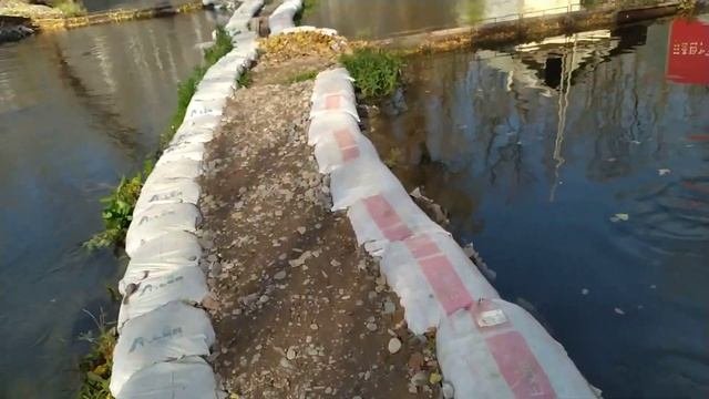 как выращивают радужной форель