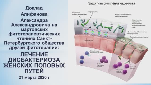 Лечение дисбактериоза у женщин. Доклад А. Алифанова.