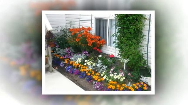Как сделать Красивые Клумбы на Даче смотреть онлайн