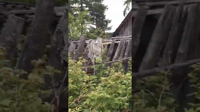 Достопримечательности моего мухосранска /Tik Tok/ смотреть онлайн