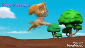 {Chase x Skye}~ for Skase and Marverest/♡Гонщик и Скай♡ для канала Skase and Marverest forevor.