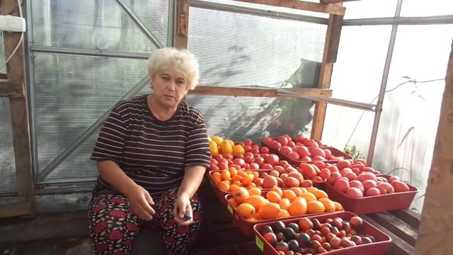 КАК ПРАВИЛЬНО ВЫБИРАТЬ СОРТА ТОМАТОВ? Ольга Чернова. смотреть онлайн