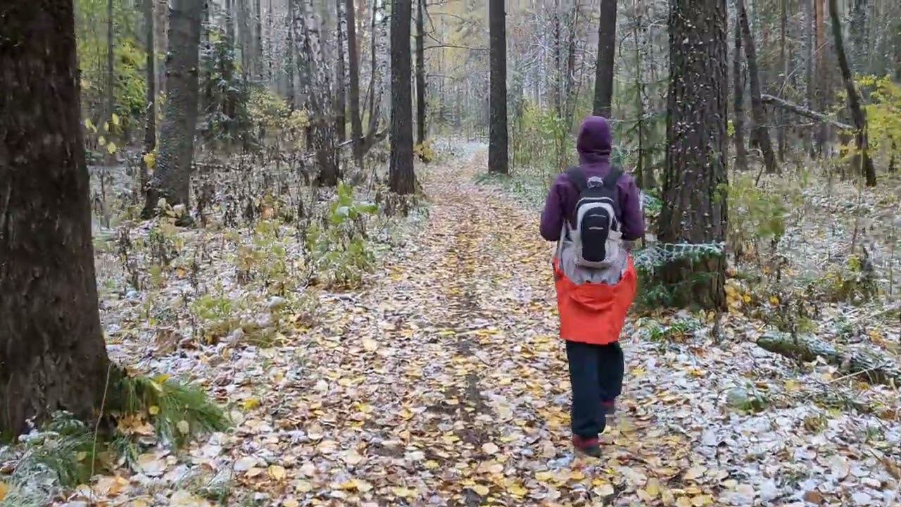 6 октября 2023 г. смотреть онлайн