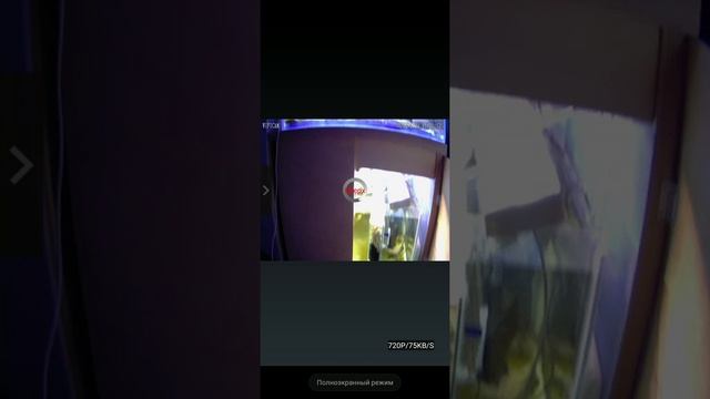 Бросил свой аквариум на произвол судьбы, но поставил камеру и могу наблюдать за ним смотреть онлайн