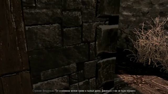 The Elder Scrolls Skyrim Баг в Виндхельме! смотреть онлайн