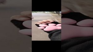 гуляем с Викой