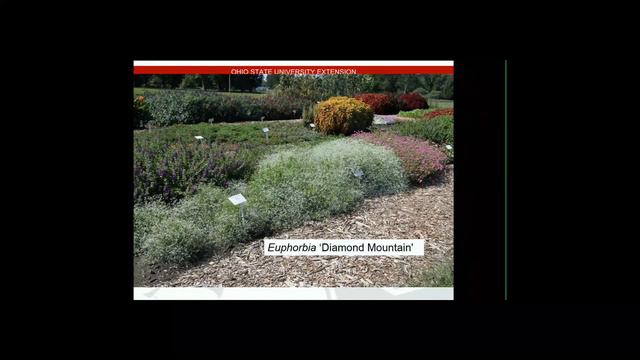 Wednesdays@2. Designer Showcase. Pam Bennet. 2019.05.08 смотреть онлайн