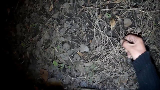 Как поймать выползка в Киеве смотреть онлайн