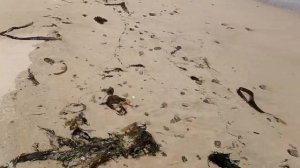 НА МОРЕ С СЕМЬЕЙ И ПАЛАТКАМИ | БУХТА ВАЛЕНТИН ПРИМОРСКИЙ КРАЙ