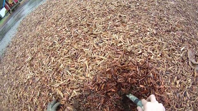 2015 Мини КОП на Детской Площадке, Поиск Монет и Украшений с Металлоискателем, МД, США смотреть онлайн