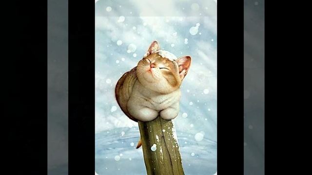 Воробей, кошка и чудо. смотреть онлайн