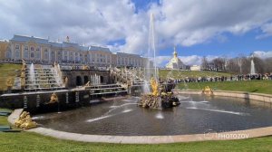 Как запускают фонтаны в Петергофе