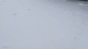 Джойстик на мтз 92 п, ЭБП 11