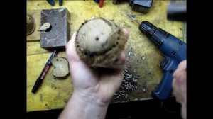 Кокос в аквариуме