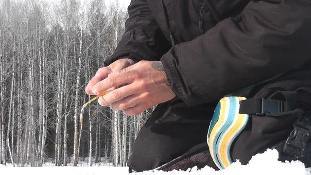 Гномы существуют! СНЯЛ ГНОМИКА НА ВИДЕО)))