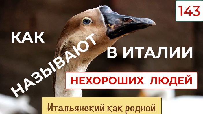 Слова и словосочетания, которыми называют в Италии нехороших людей 143