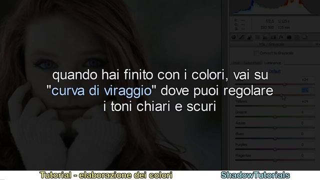 Tutorial Photoshop CS6 - Elaborazione Colori con Camera Raw смотреть онлайн