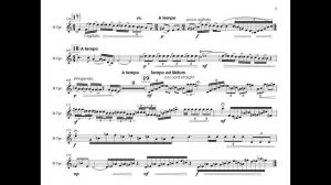 J.Pauer - Trompetina - Dokshizer  trumpet
