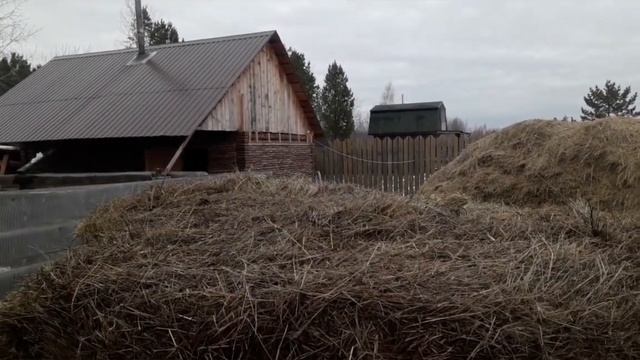 Новая  профессия в кризис! ЛПХ- Молочные реки. КРС-основная,свиноводство-второстепенная.