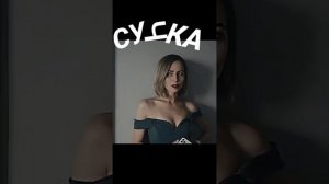 Сучка