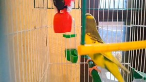 Ты кто такой? Ты что берега попутал?