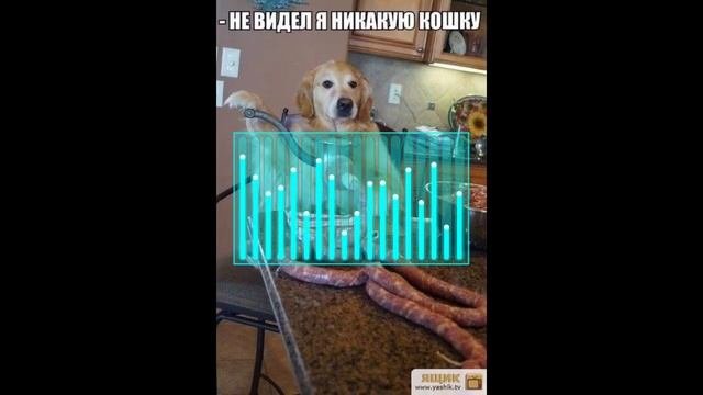 смешные картинки