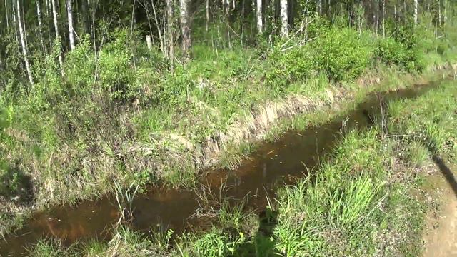 Ищу грунтовую дорогу в Питер из Сусанино смотреть онлайн