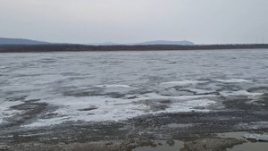 Амур батюшка