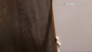 Как приклеить ламинат на стену ? очень легко . технология монтажа простая