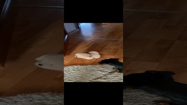 21-12-2023 смотреть онлайн