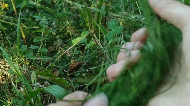 ЖИВАЯ ВОДА из Обычного Сорняка Заменит Целую Аптеку! Кости Позвоночник Суставы Печень Кожа/Рецепт смотреть онлайн