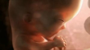 Гистогенез и органогенез. Лекции для студентов СПО #биологияегэ #медлекции #дистанционноеобучение