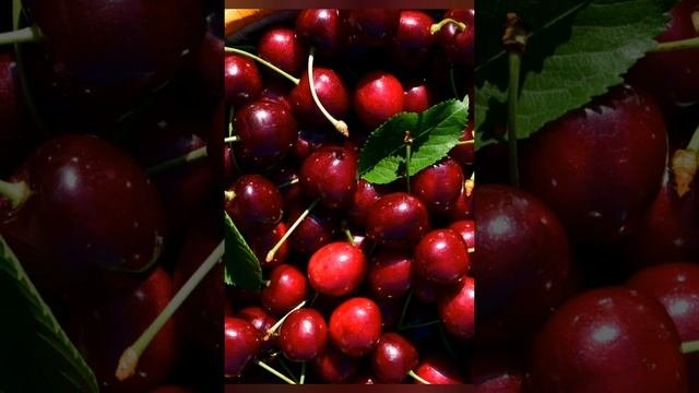 Вишня.Лечебные свойства.