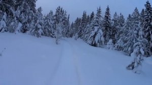 "Леший" Александр. В гостях у "Лешего" в деревне. #1